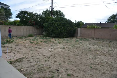 DSC_7324 (Large).JPG